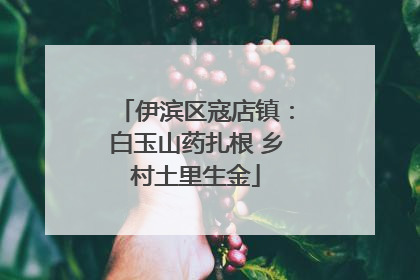 伊滨区寇店镇：白玉山药扎根 乡村土里生金