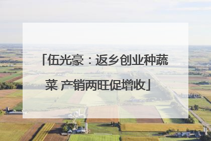 伍光豪：返乡创业种蔬菜 产销两旺促增收