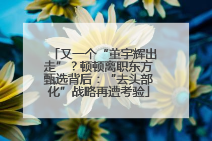 又一个“董宇辉出走”？顿顿离职东方甄选背后：“去头部化”战略再遭考验