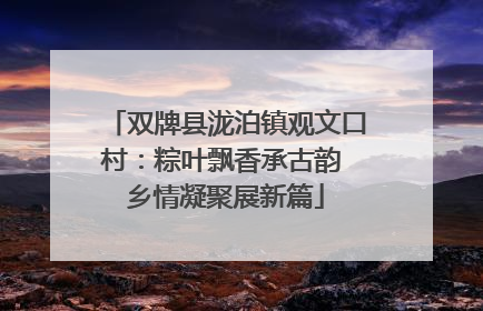 双牌县泷泊镇观文口村：粽叶飘香承古韵 乡情凝聚展新篇