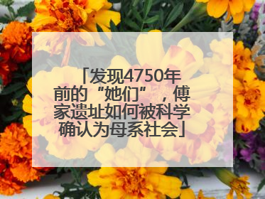 发现4750年前的“她们”，傅家遗址如何被科学确认为母系社会