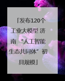 发布120个工业大模型 济南 “人工智能生态共同体”初具规模
