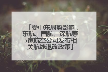 受中东局势影响，东航、国航、深航等5家航空公司发布相关航线退改政策