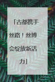 古都携手丝路！丝博会绽放新活力