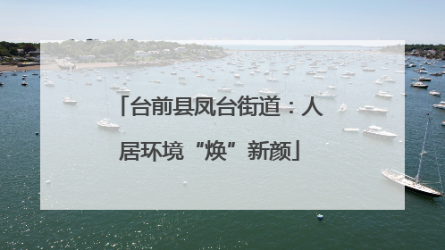台前县凤台街道：人居环境“焕”新颜