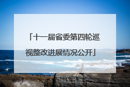 十一届省委第四轮巡视整改进展情况公开