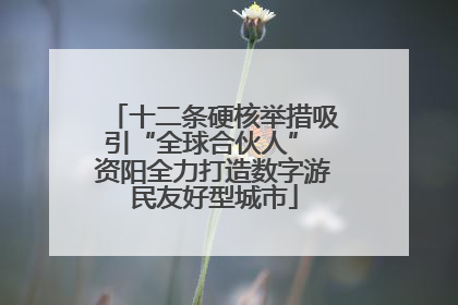 十二条硬核举措吸引“全球合伙人” 资阳全力打造数字游民友好型城市