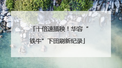 十倍速插秧！华容“铁牛”下田刷新纪录