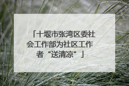 十堰市张湾区委社会工作部为社区工作者“送清凉”
