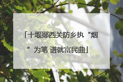 十堰郧西关防乡执“烟”为笔 谱就富民曲