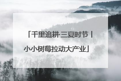 千里追耕·三夏时节丨小小树莓拉动大产业