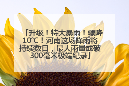 升级！特大暴雨！骤降10℃！河南这场降雨将持续数日，最大雨量或破300毫米极端纪录