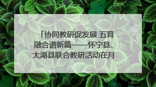 协同教研促发展 五育融合谱新篇——怀宁县、太湖县联合教研活动在月山镇中心学校成功举办