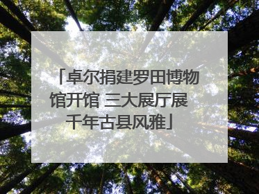 卓尔捐建罗田博物馆开馆 三大展厅展千年古县风雅