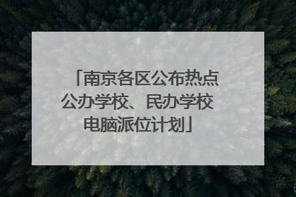南京各区公布热点公办学校、民办学校电脑派位计划