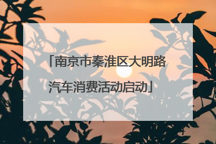 南京市秦淮区大明路汽车消费活动启动
