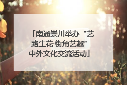 南通崇川举办“艺路生花·街角艺趣”中外文化交流活动