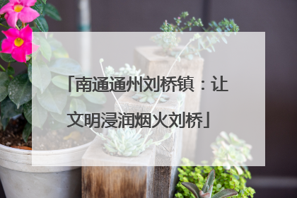 南通通州刘桥镇：让文明浸润烟火刘桥