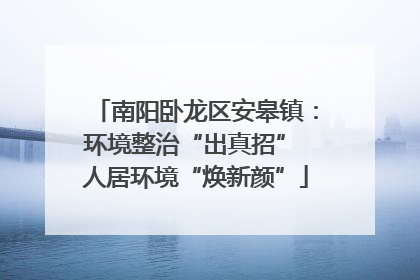 南阳卧龙区安皋镇：环境整治“出真招” 人居环境“焕新颜”