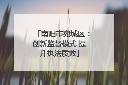 南阳市宛城区：创新监督模式 提升执法质效
