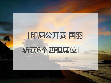 印尼公开赛 国羽斩获6个四强席位