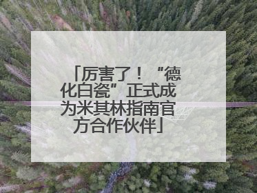 厉害了！“德化白瓷”正式成为米其林指南官方合作伙伴