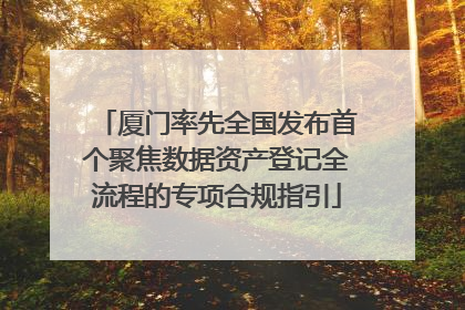 厦门率先全国发布首个聚焦数据资产登记全流程的专项合规指引