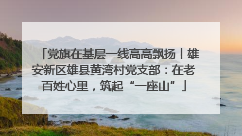 党旗在基层一线高高飘扬丨雄安新区雄县黄湾村党支部：在老百姓心里，筑起“一座山”