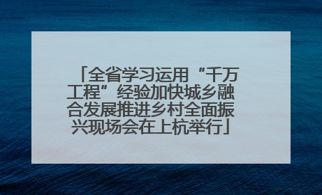 全省学习运用“千万工程”经验加快城乡融合发展推进乡村全面振兴现场会在上杭举行
