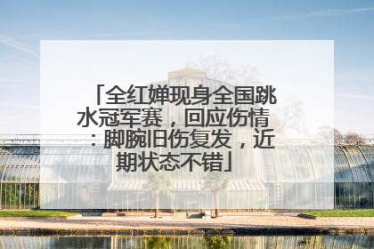 全红婵现身全国跳水冠军赛，回应伤情：脚腕旧伤复发，近期状态不错