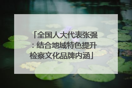 全国人大代表张强：结合地域特色提升检察文化品牌内涵