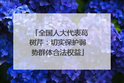 全国人大代表葛树芹：切实保护弱势群体合法权益