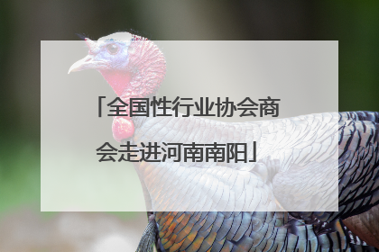 全国性行业协会商会走进河南南阳