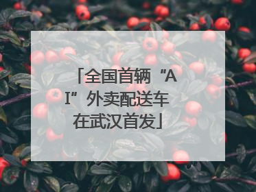 全国首辆“AI”外卖配送车在武汉首发