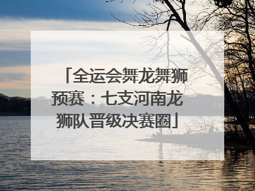 全运会舞龙舞狮预赛：七支河南龙狮队晋级决赛圈