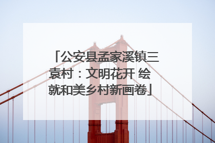 公安县孟家溪镇三袁村：文明花开 绘就和美乡村新画卷