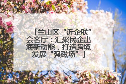 兰山区“沂企联”会客厅：汇聚民企出海新动能，打造跨境发展“强磁场”