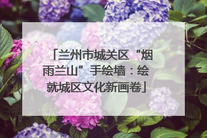兰州市城关区“烟雨兰山”手绘墙：绘就城区文化新画卷