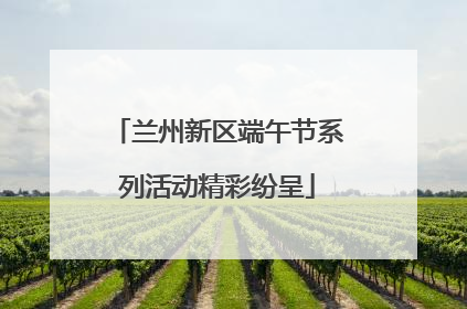 兰州新区端午节系列活动精彩纷呈
