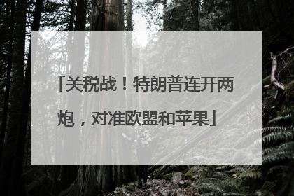 关税战！特朗普连开两炮，对准欧盟和苹果