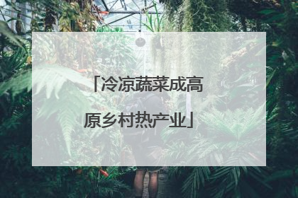 冷凉蔬菜成高原乡村热产业