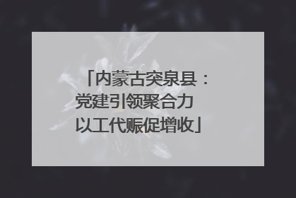 内蒙古突泉县：党建引领聚合力 以工代赈促增收