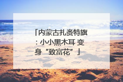 内蒙古扎赉特旗：小小黑木耳 变身“致富花”