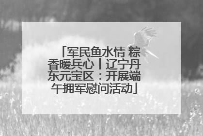 军民鱼水情 粽香暖兵心丨辽宁丹东元宝区：开展端午拥军慰问活动