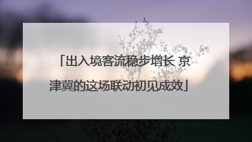 出入境客流稳步增长 京津冀的这场联动初见成效