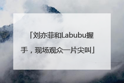 刘亦菲和Labubu握手，现场观众一片尖叫