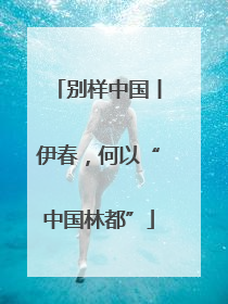 别样中国丨伊春，何以“中国林都”