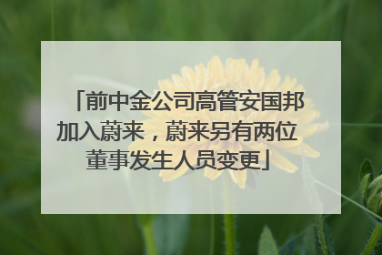 前中金公司高管安国邦加入蔚来，蔚来另有两位董事发生人员变更