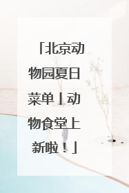 北京动物园夏日菜单丨动物食堂上新啦！