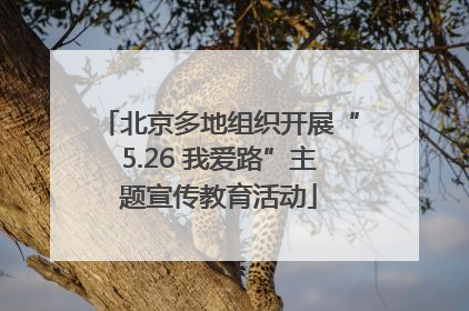 北京多地组织开展“5.26 我爱路”主题宣传教育活动